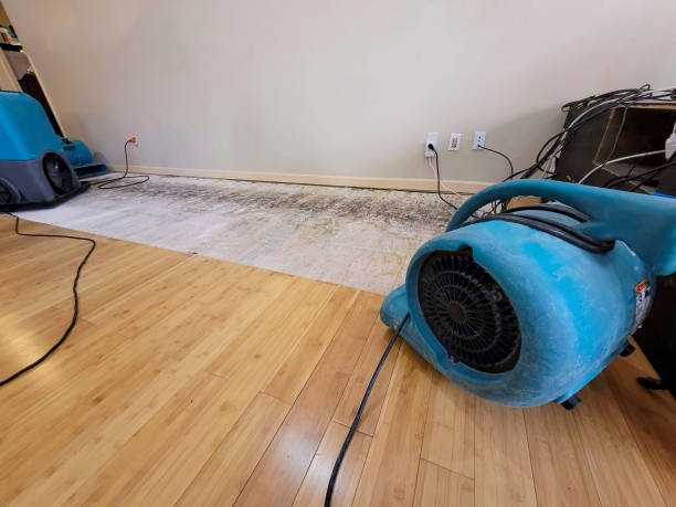 Professional Basement Flood Cleanup technician working in Clinton Township, MI